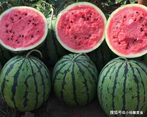 吃瓜爆料网红料不打烊,揭秘娱乐圈幕后故事 第3张 吃瓜爆料网红料不打烊,揭秘娱乐圈幕后故事 第3张