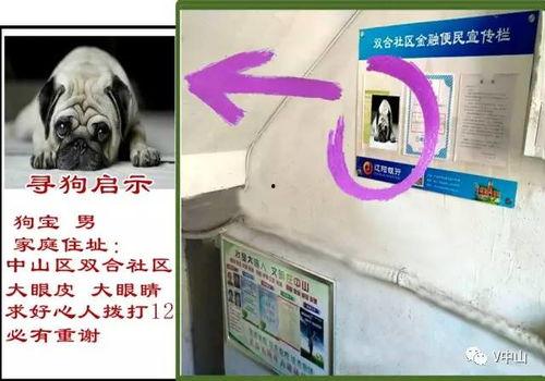 呼死狗今日爆料,揭秘网络骚扰黑幕 第3张 呼死狗今日爆料,揭秘网络骚扰黑幕 第3张